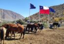 Chile: Turismo de experiência no Vale de Limarí, Coquimbo