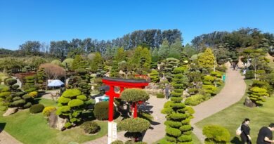 Parque Maeda: Feriado com Diversão e Natureza