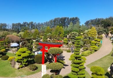 Parque Maeda: Feriado com Diversão e Natureza