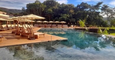Clara Arte: Hotel de luxo tem Inhotim como quintal